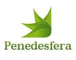 Penedesfera